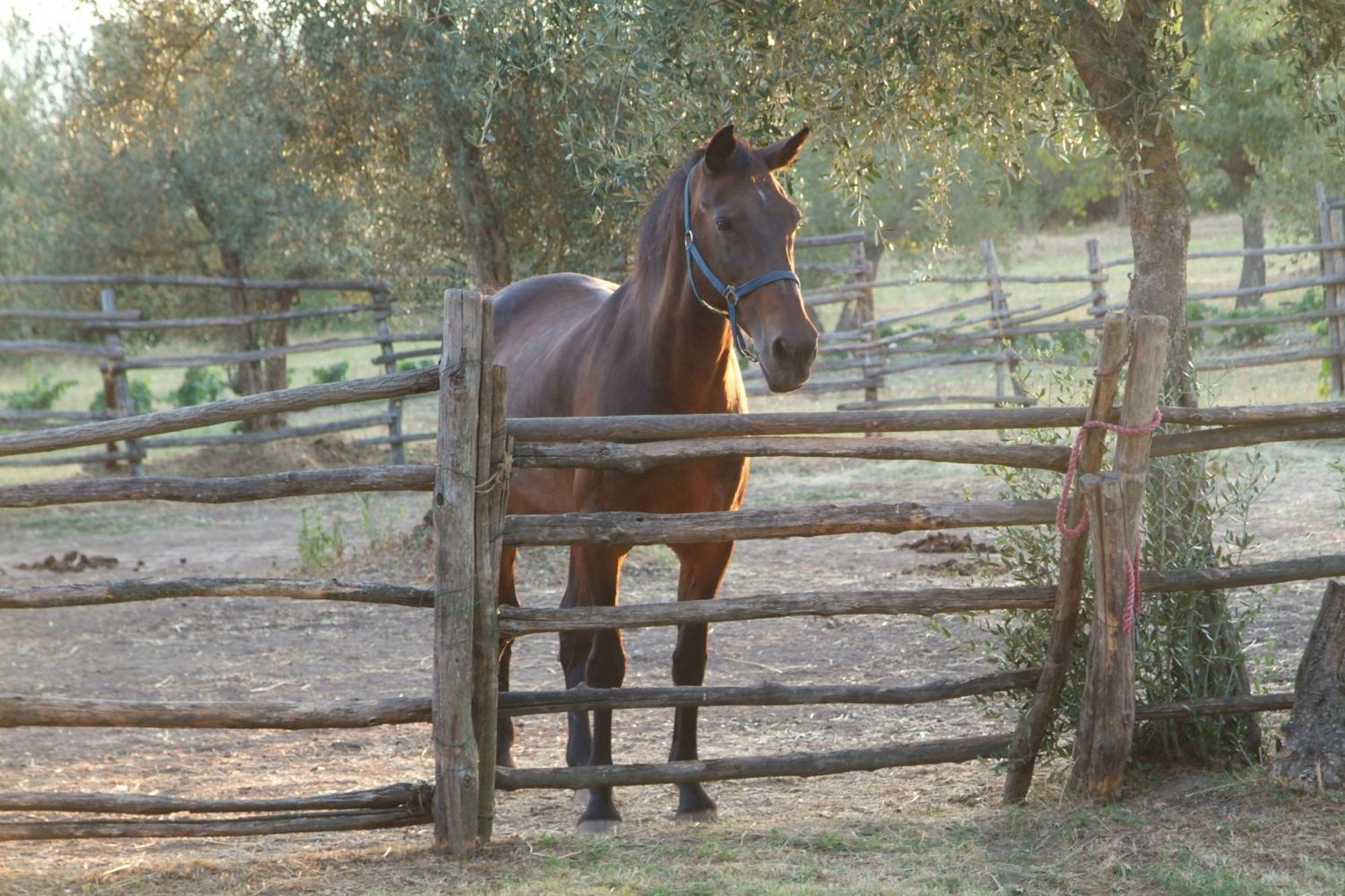 La Badiola Villa Chiusi Buitenkant foto
